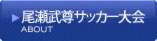 尾瀬武尊サッカー大会とは