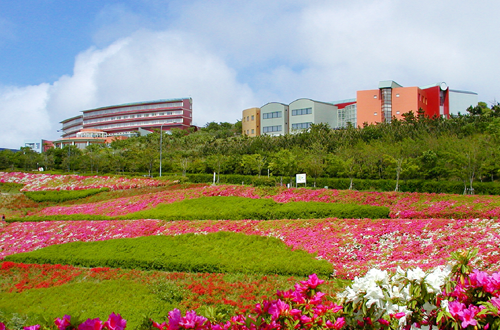 レクトーレ葉山　湘南国際村